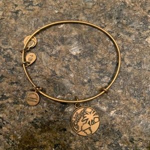 ALEX & ANI rare Caribbean bracelet